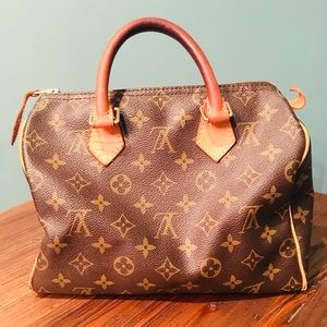 Louis Vuitton Speedy 25 Bag